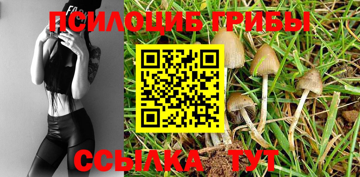 сколько стоит  Галлюциногенные грибы Cubensis  Вход с VPN  Пыть-Ях  Галлюциногенные грибы GOLDEN TEACHER 