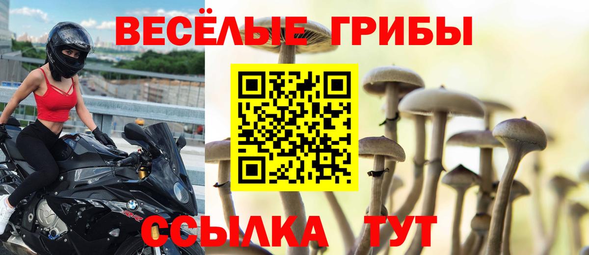 Галлюциногенные грибы GOLDEN TEACHER Пыть-Ях